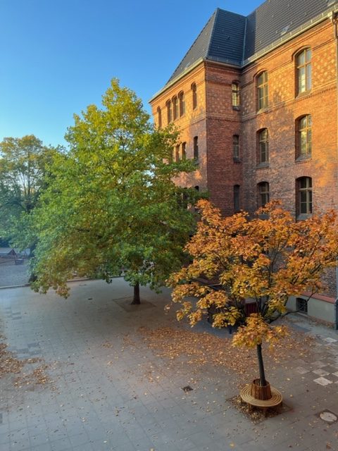 Herbst